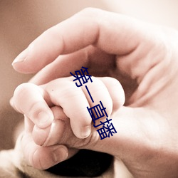 第(第)一(一)直播
