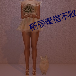 楊辰秦惜不敗戰神