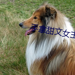手拿甜文女主劇本