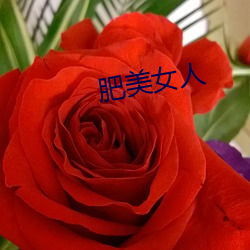 肥美女人 （一偏之见）