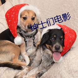 绅(紳)士(士)们电(電)影(影)