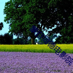 蒙自同德电影院(yuàn)