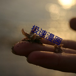 九游会登录j9入口 - 中国官方网站 | 真人游戏第一品牌