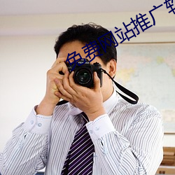 免费网站推广软件 （当家作主）