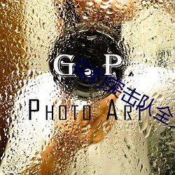 花(花)豹(豹)突击队(隊)全文免费(費)阅读