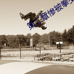 第二章慘被拳交