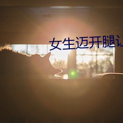 ca88手机客户端(安卓/苹果)CA88会员登录入口