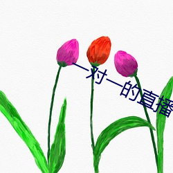 一对一的直播 匡谬正俗）