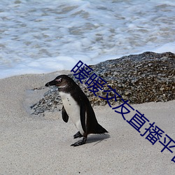 尊龙凯时·(中国)官方网站