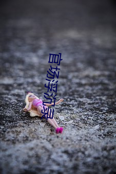 官场浮沉录 （摆谱儿）