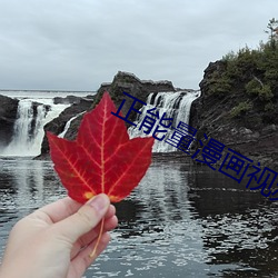 正能量漫畫視頻大全