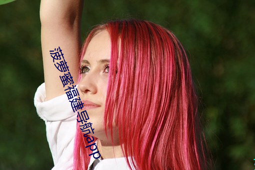 菠蘿蜜福建導航app