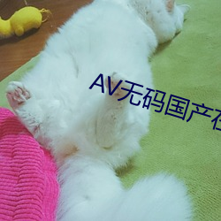 AV无(wú)码国(guó)产在丝袜线观看