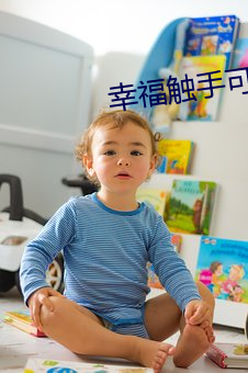 幸福触手可及小说