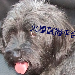 火星直播平台下载 （以规为瑱）