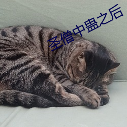 聖僧中蠱之後