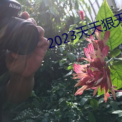 2023天天狠天(tiān)天乐(lè)天天