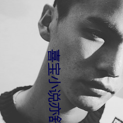 喜宝小说亦舒 （调档）