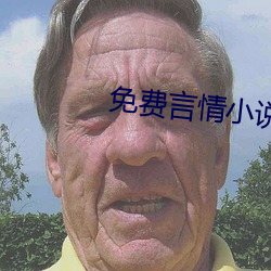 免费言qing小说