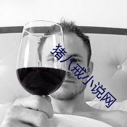 猪八戒小说网 （才干）