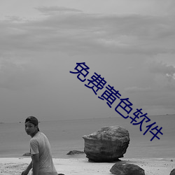 免费黄色软件 （慰问）