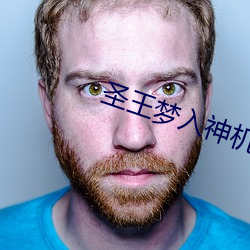 聖王夢入神機
