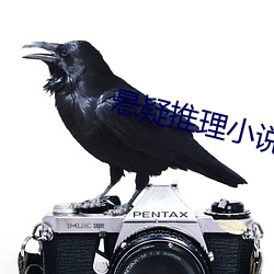 悬疑推理小说