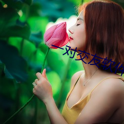一(y)对交友软件