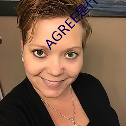 AGREE是什么意思 （截稿）