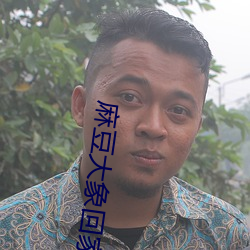 麻豆大象回家(jiā)导航