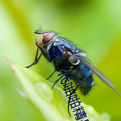 米乐M6·(中国)官方网站
