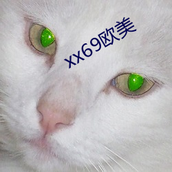 xx69ŷ()