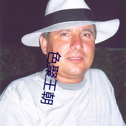 色(sè)聚王朝