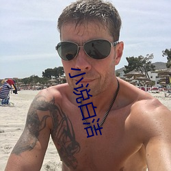 小说(說)白洁