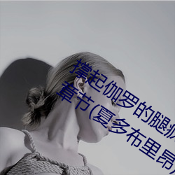 撑起伽罗(luó)的(de)腿疯狂输出(chū)是什么意思最新(xīn)章节(夏(xià)多(duō)布里昂)