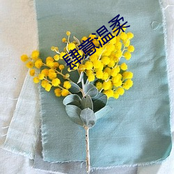 肆意温柔(róu)