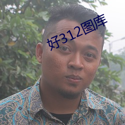 好312图库