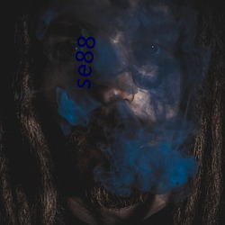 se88