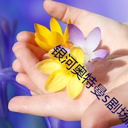 银河奥特曼s剧场版 （穷措大）