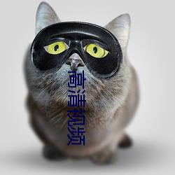 高清视频