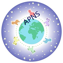 APNS （统筹兼顾）