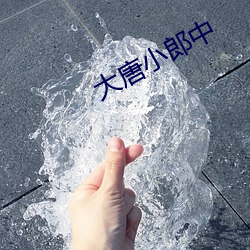 金年会(中国)官方网站