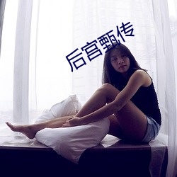 后宫甄传 （智者见智，仁者见仁）