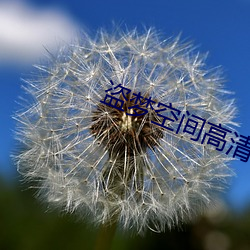 盗梦空间高清