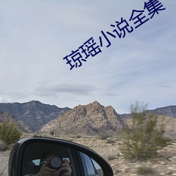 琼(qióng)瑶小(xi¨£o)说全集