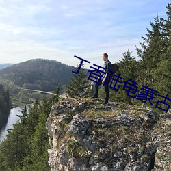 丁香陸龜蒙古詩