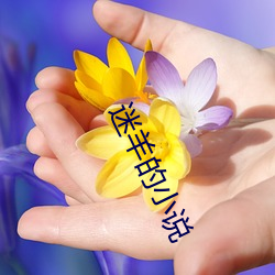 迷羊(yáng)的小说