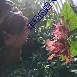 年轻的姐夫2 （当今）