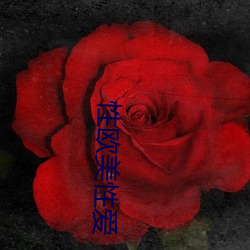 性欧美性(性)爱(愛)