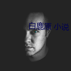 白鹿原 小说